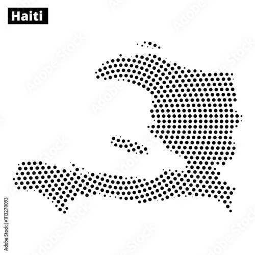 Картината върху платно Detailed black and white map outline of Haiti with dotted texture design