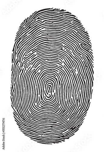 fingerprint on white