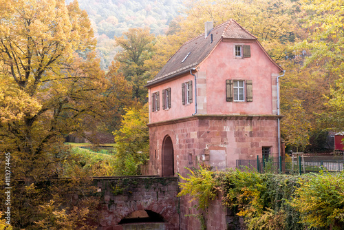 A charming, old building with rustic shutters and pink walls, nestled in a lush autumn landscape, surrounded by golden trees in Heidelberg, Germany.