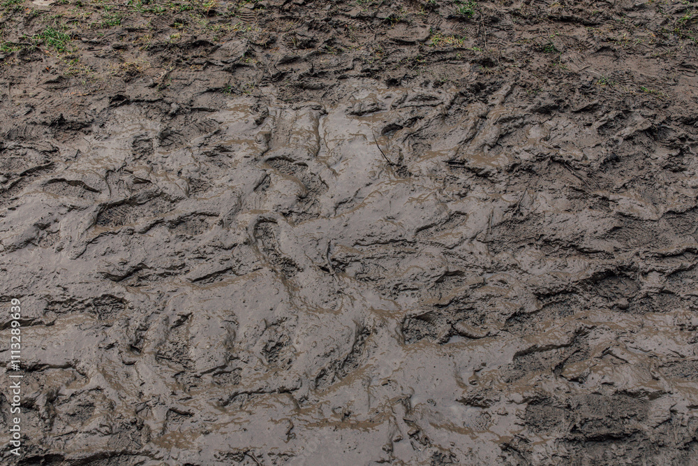 muddy ground with footprints muddy ground with footprints
