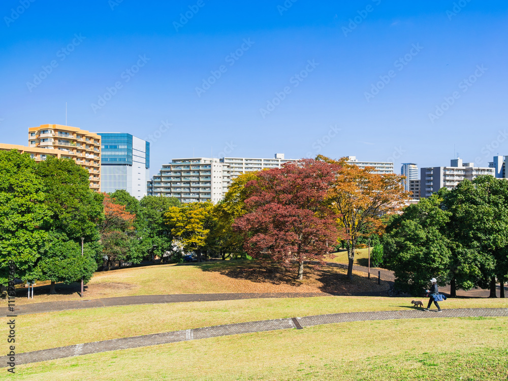 郊外の住宅地 多摩ニュータウン