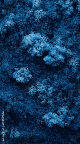 A textured surface resembling moss or lichen in deep blue hues. photo