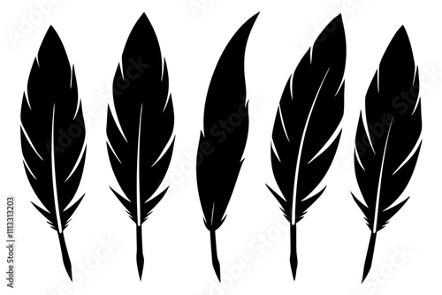 Set of Bird feather silhouette vector icon illustration.