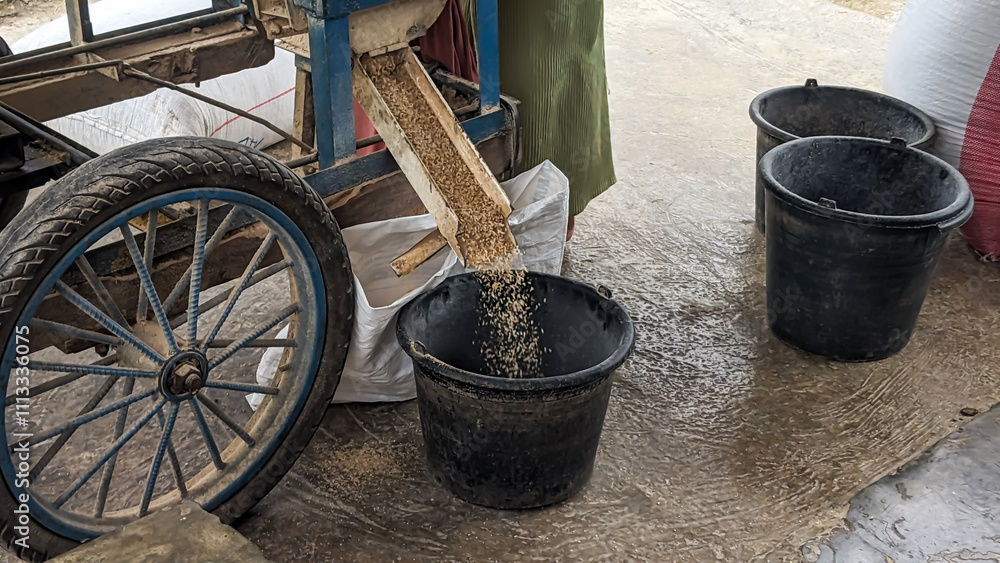 A traditional milling cart processes rice, funneling them into sacks and buckets. The scene captures the essence of rural agriculture, combining manual effort with simple machinery. A traditional milling cart processes rice, funneling them into sacks and buckets. The scene captures the essence of rural agriculture, combining manual effort with simple machinery.