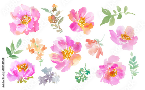 Vector illustration set of abstract pink wild roses and wild flowers painted in watercolor. Watercolor botanical clip art collection for wedding invitation, fabric, stationary and wall papaer.