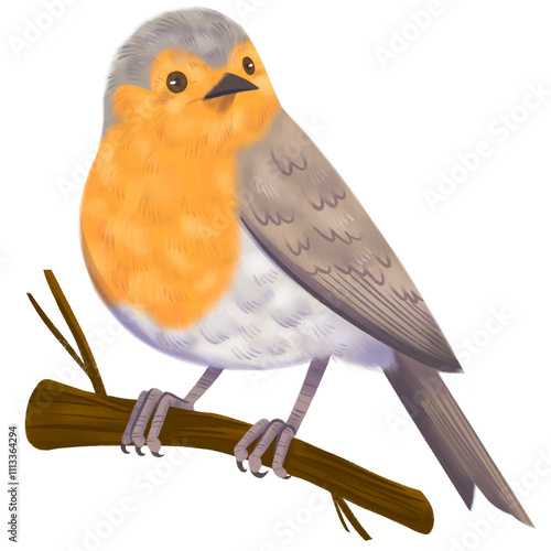 Petirrojo europeo Ave Nacional de Inglaterra Erithacus rubecula 