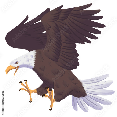 Águila Calva ave Nacional de Estados Unidos de América Haliaeetus leucocephalus