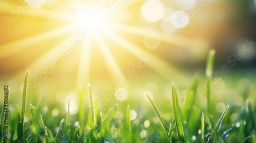 Green lawn with fresh grass outdoors. Nature spring grass background texture. - ai