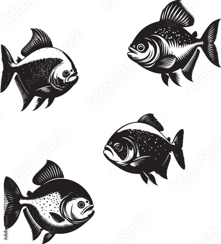 Piranha fish black and white silhouette in a vector farm 