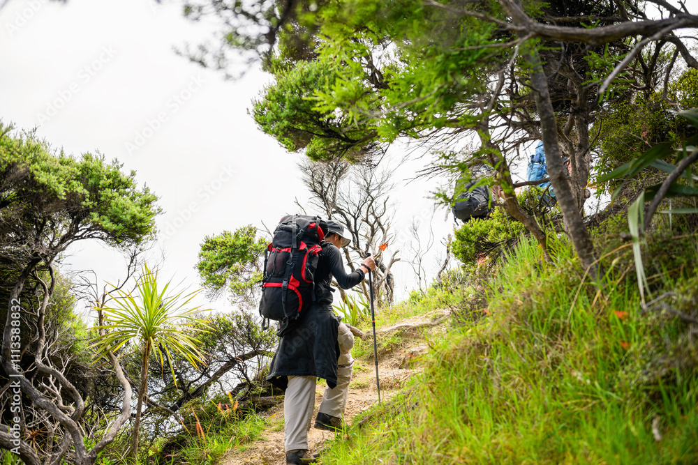 Man hiking Cape Brett Track. Unrecognizable backpackers in the bush walking in front. Bay of Islands. Man hiking Cape Brett Track. Unrecognizable backpackers in the bush walking in front. Bay of Islands.