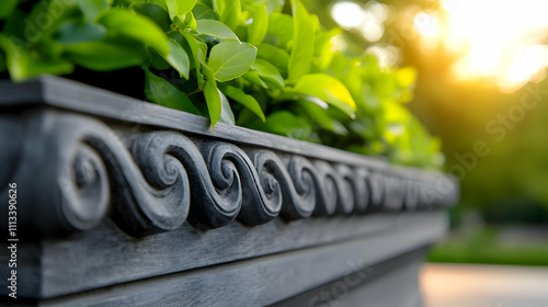 Close-up of vibrant leaves in a planter. photo