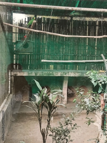 Parrot Perched Inside a Green Aviary Surrounded by Plants and Branches in a Private Sanctuary