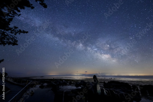 Obraz na płótnie 海岸沿いのオブジェと天の川と能登半島の星空 w salonie