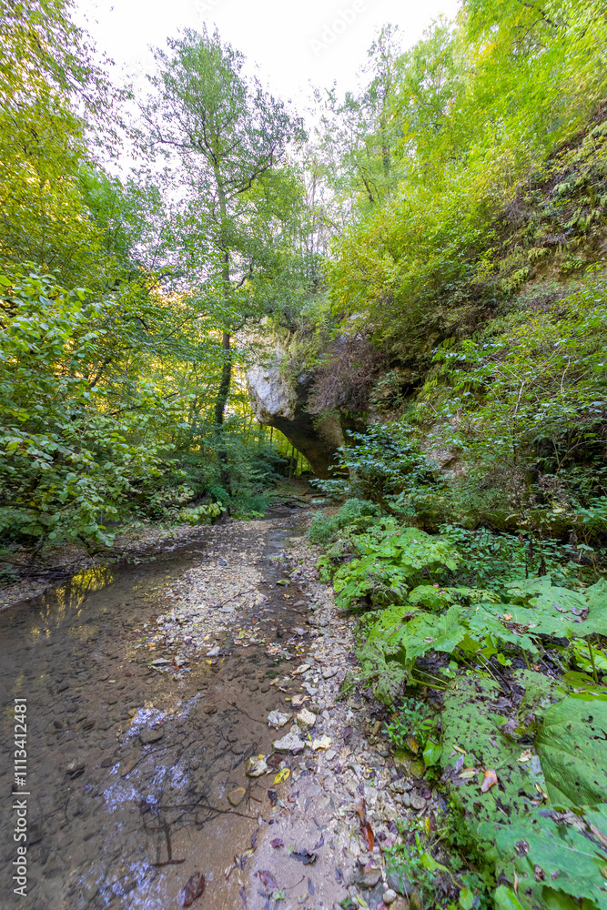 nature park , spring mood, walk through the forest and riverbed with an overview of the area nature park , spring mood, walk through the forest and riverbed with an overview of the area