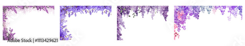 PNG Lavender flower set on transparent background