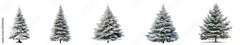 PNG Christmas tree set on transparent background PNG Christmas tree set on transparent background