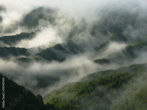 霧の出る山
