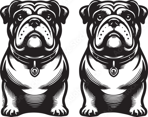 This stylized black and white vector illustration showcases a majestic bulldog, embodying strength, loyality, and resilience. perfect for designs related to pet adoption and urban lifestyle.