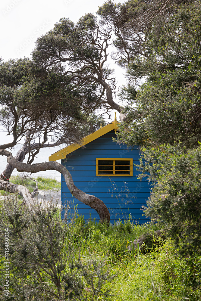 Blue and yellow bathing box surrounded by tea trees in Blairgowrie, Victoria, Australia Blue and yellow bathing box surrounded by tea trees in Blairgowrie, Victoria, Australia
