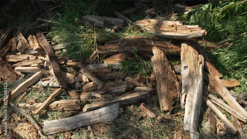 Wood pieces dry eaten by drywood termites wood worms infestation Wood pieces dry eaten by drywood termites wood worms infestation