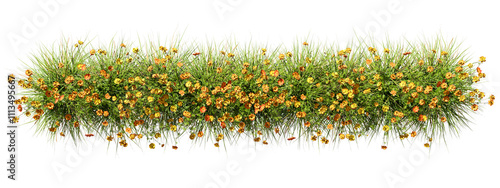 Aerial view yellowed flowery blossoms row cut-out transparent backgrounds 3d illustration png photo