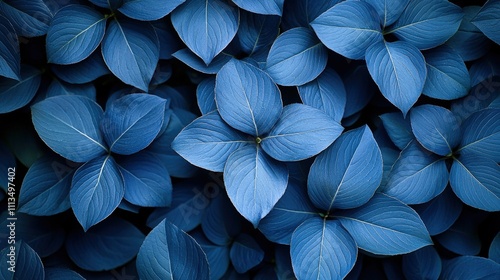 Wallpaper Mural Vibrant blue leaves with intricate patterns in close-up nature photography Torontodigital.ca