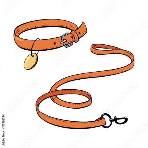 Discover the Stylish Orange Dog Collar and Leash Set designed specifically for Pet Owners.Vector illustration. Pet shop