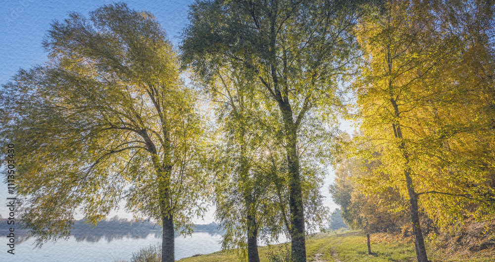 Beautiful scene of a forest with three trees Beautiful scene of a forest with three trees