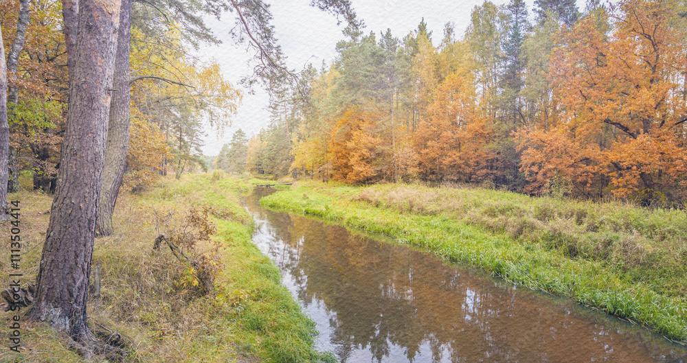 Obraz premium River with trees on either side