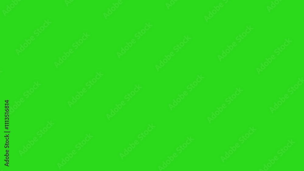 line and circle blast Fire Work animation video, line shape animation, Fireworks explode in the sky like pictures of hearts at night to celebrate, green screen line and circle blast Fire Work animation video, line shape animation, Fireworks explode in the sky like pictures of hearts at night to celebrate, green screen