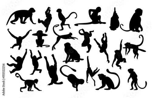 monkey swinging silhouette vector isolated