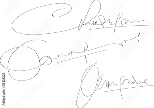 Set vector handwritten signature. Fake autograph in different handwriting. The signatures range from neat to messy, adding variety..eps