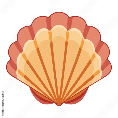 Natural Seashell Isolated on White Background.