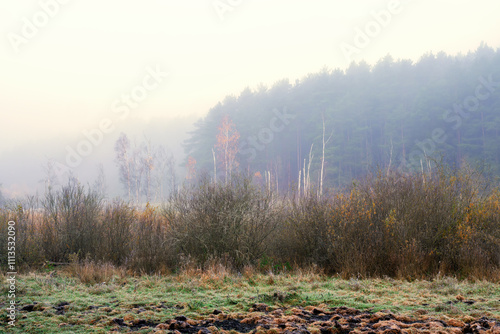 Fototapeta Naklejka Na Ścianę i Meble -  Jesienny poranek na Mazurach.