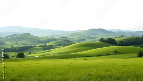 landscape with green grass and blue sky