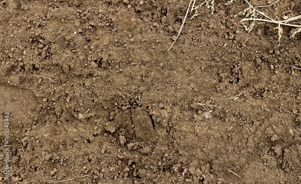 Soil texture background Soil texture background