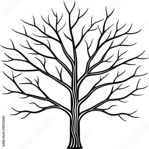 a bare winter tree with fine detailed branches