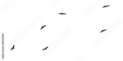 A flock of birds in flight isolated on a white background