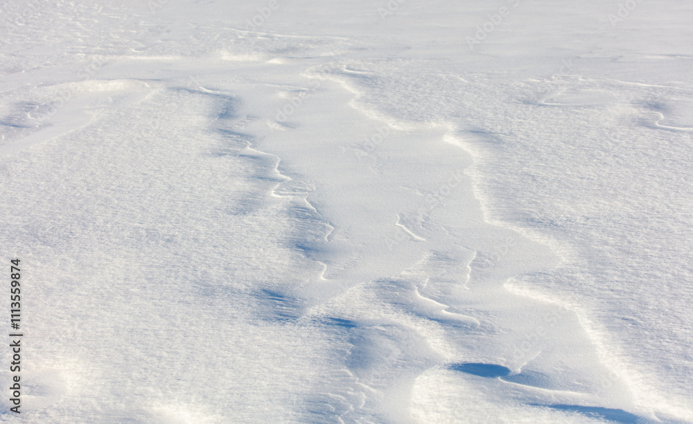 The snow is white and the ground is covered in it The snow is white and the ground is covered in it