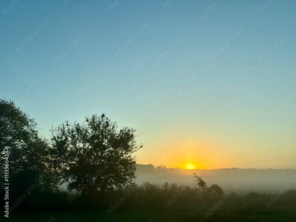 Foggy sunrise over a hill and field with silhouettes of trees Foggy sunrise over a hill and field with silhouettes of trees