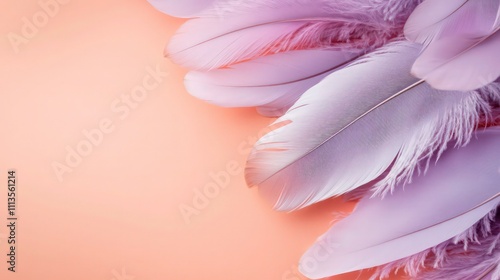 A delicate arrangement of pale purple feathers resting on a pastel coral background, highlighted with subtle shadows and plenty of copy space.