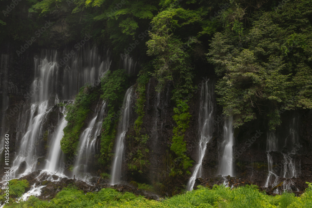 Fototapeta premium Shiraito waterfalls in spring in Japan