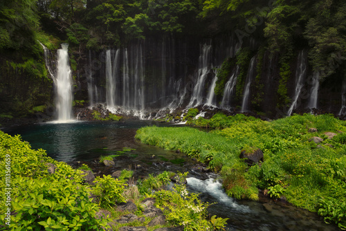 Shiraito waterfalls in spring in Japan