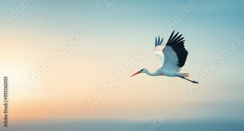 Crane flying against a soft sunset sky with blurred forest background