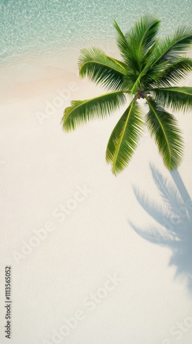 Serenity of a solitary palm tree by the calm beach with gentle waves and soft...