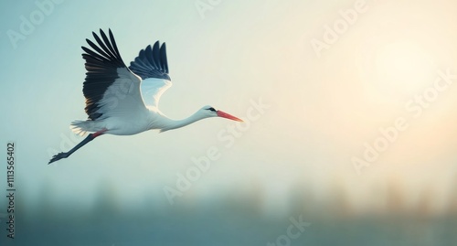 Crane flying against a soft sunset sky with blurred forest background