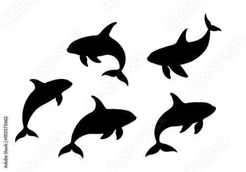 killer whale silhouette collection