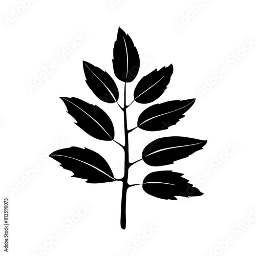 Broadleaf plantain SVG on a transparent background