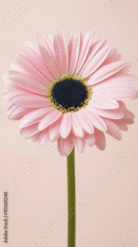 Stunning pink and blue flower with soft petals against a blurred colorful bac...