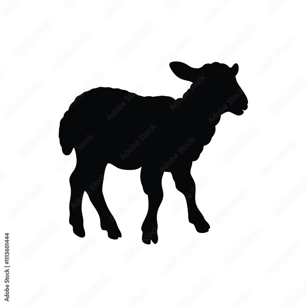 A black sheep is standing on a white background A black sheep is standing on a white background